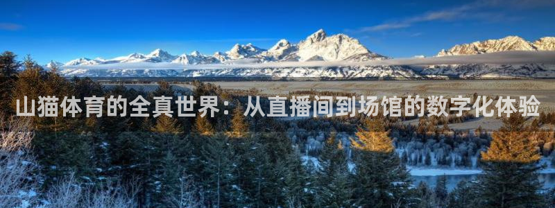 51视频在线直播nba：山猫体育的全真世界：从直播间到场馆的数字化体验