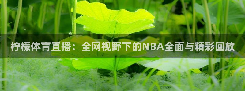51视频在线直播nba：柠檬体育直播：全网视野下的NBA全面与精彩回放